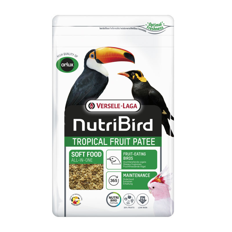 Aliment complet pour oiseaux Tropical fruit patee 1kg - ORLUX - ONP65