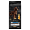 Croquettes chien adulte large athletic poulet 14kgs - PRO PLAN - WLAADOR14