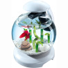 Aquarium Cascade Globe 6,8L Blanc - TETRA TECH - AQC60