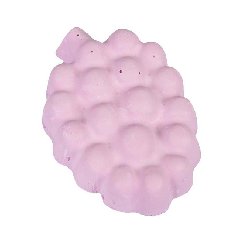 Snack Pierre à ronger Raisin 60g - FLAMINGO - FLA84255