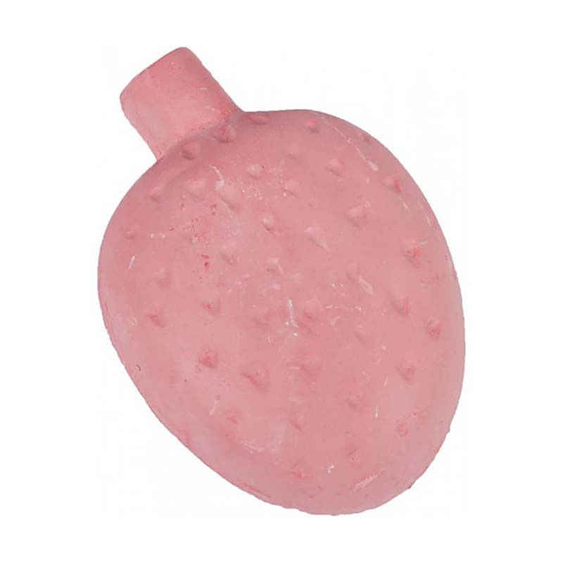 Snack Pierre à ronger Fraise 65g - FLAMINGO - FLA84255