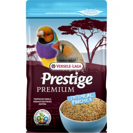 Mélange de graines pour oiseaux tropicaux Prestige Premium 800g - VERSELE LAGA - ONP94