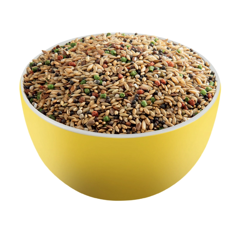 Mélange de graines pour canaris Prestige Premium 800g - VERSELE LAGA - ONP96
