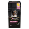 Complément alimentaire Skin & Coat+ pour chien adulte 250mL - PRO PLAN - WSUPDSKIN67