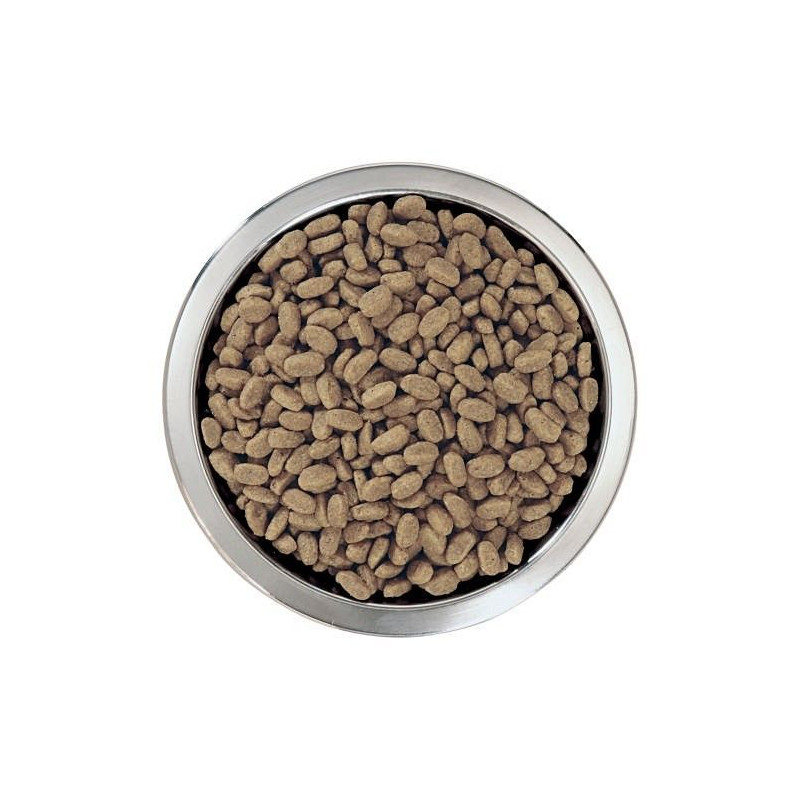 Croquettes chiot medium saumon 12kgs - PRO PLAN - WMEDPUSA12