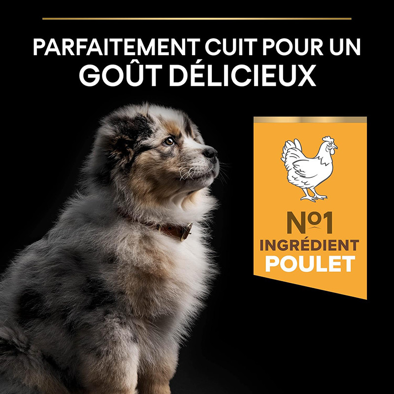 Croquettes chiot medium poulet 12kgs - PRO PLAN - WMEDPUOR12
