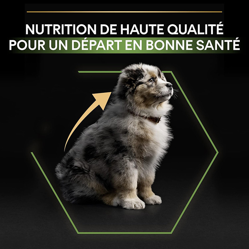 Croquettes chiot medium poulet 12kgs - PRO PLAN - WMEDPUOR12