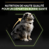 Croquettes chiot medium poulet 12kgs - PRO PLAN - WMEDPUOR12
