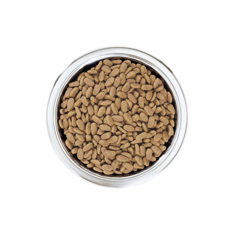 Croquettes chien adulte small & mini saumon 7kgs - PRO PLAN - WSMADSA7