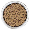 Croquettes chien adulte small & mini saumon 7kgs - PRO PLAN - WSMADSA7