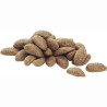 Croquettes chien adulte medium saumon 7kgs - PRO PLAN - WMEDADSA7