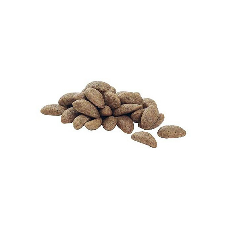 Croquettes chien adulte 7+ medium & large saumon 3kgs - PRO PLAN - WMEDSESA3