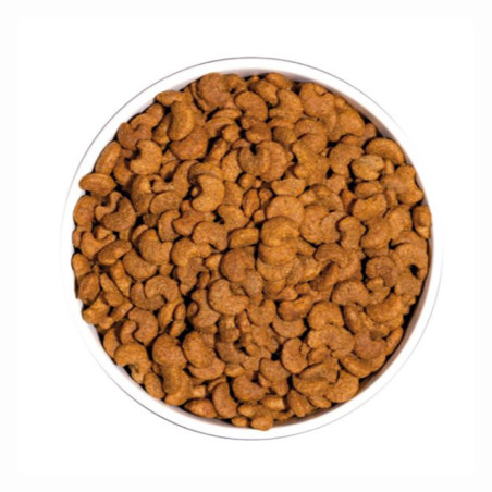 Croquettes chien adulte 7+ medium & large poulet 14kgs - PRO PLAN - WMEDSEOR14