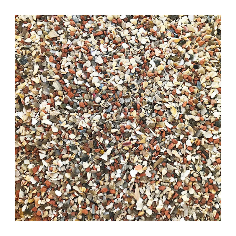 Complément alimentaire pour oiseaux Prestige Grit avec du corail 2.5kg - VERSELE LAGA - ONP68