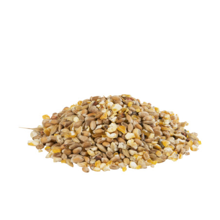 Mélange pour volaille & grit Country's Best 20kg - VERSELE LAGA - VCB18