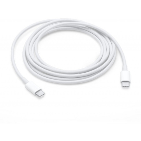 Câble USB-C 2M APPLE