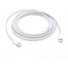 Câble USB-C 2M APPLE