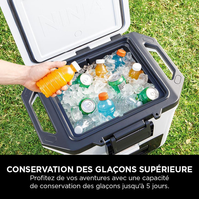 Glacière FrostVault 28L blanch - NINJA - FB131EUWH