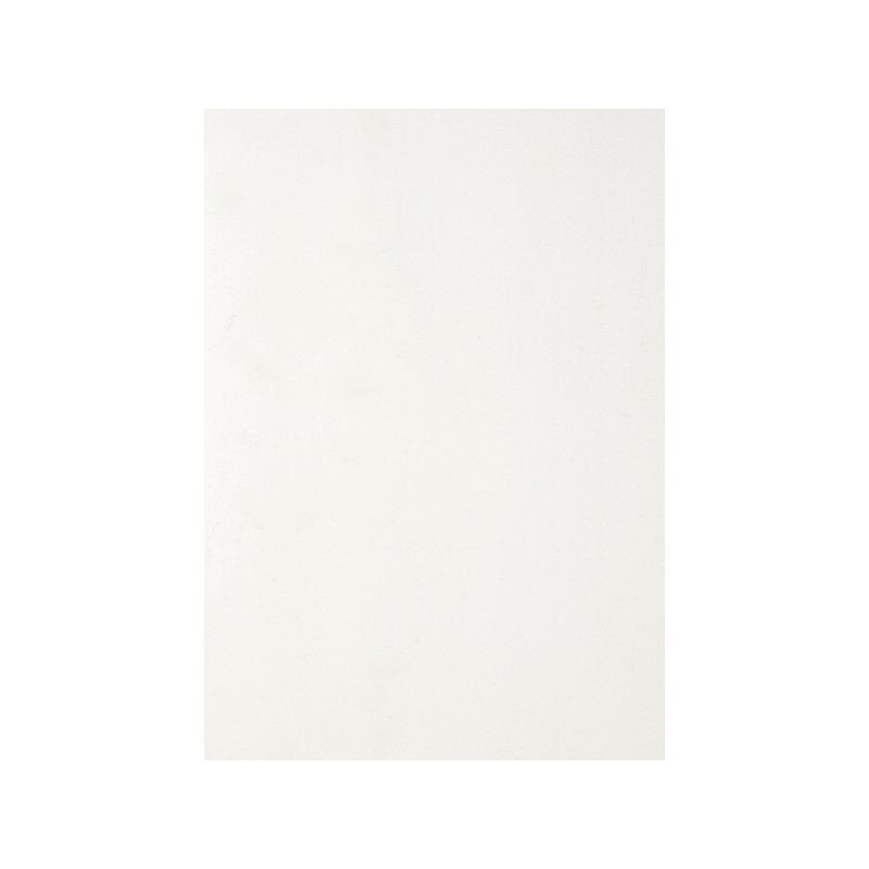 Lambris pvc blanc L.400 X L.25 cm X Ep.10 mm