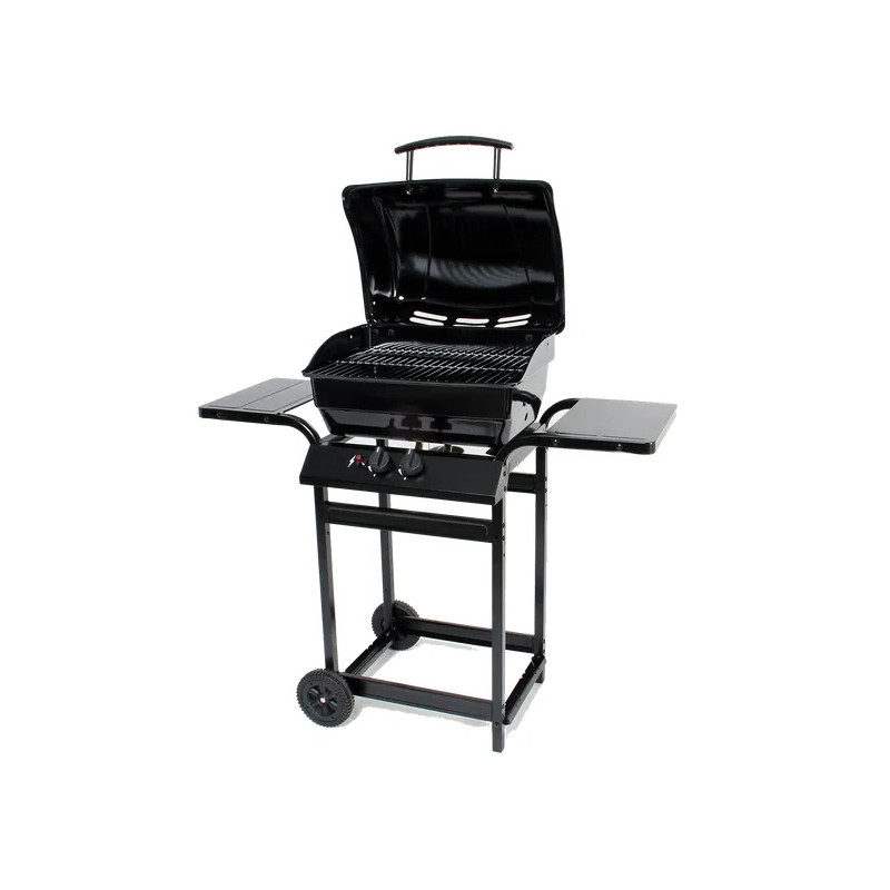 BARBECUE GAZ 2 BRULEURS