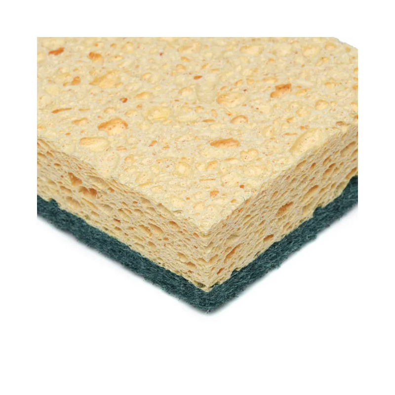 Lot de 10 éponges multiusage