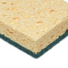 Lot de 10 éponges multiusage