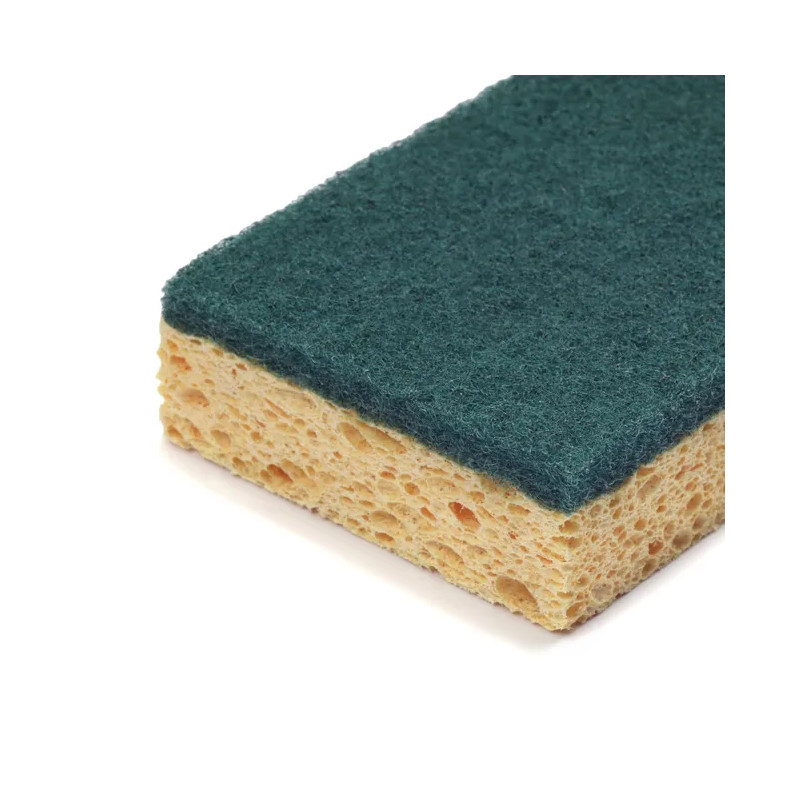 Lot de 10 éponges multiusage