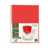 Paquet de 25 chemises rigides FOREVER dos toilé, rouge