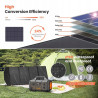 FLEXSOLAR PANO_C_SI_F120 - FLEXSOLAR - PANO_C_SI_F120