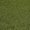 Gazon synthétique 2 x 5 m 10 mm