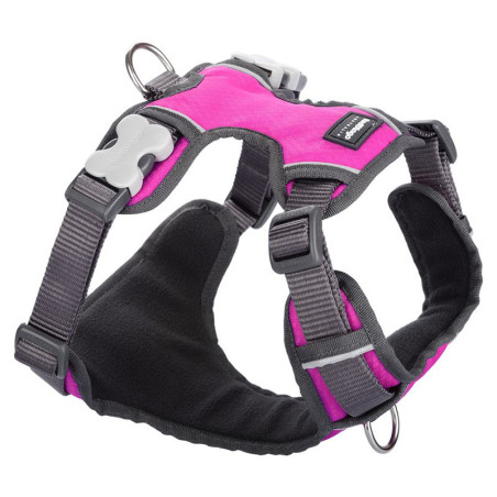 Harnais pour chien rembourré taille L (56-80cm) Rose - RED DINGO - RHLRROS604