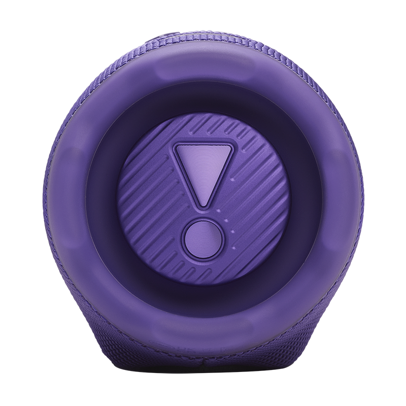 Enceinte portable Bluetooth Charge 6 Violet - JBL - JBLCHARGE6PUR