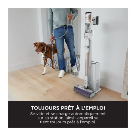 Aspirateur balai sans fil Detect Clean 240W Blanc/Or - SHARK - IW3612EU
