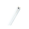 Tube fluorescent Osram T8 Lumilux 36W - 840 Blanc Froid | 120cm