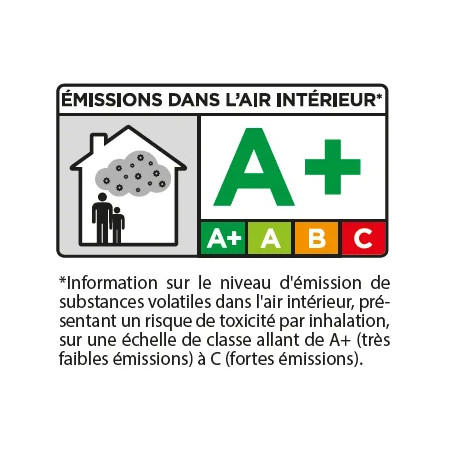 Traitement du bois multiusage AXTON 5L