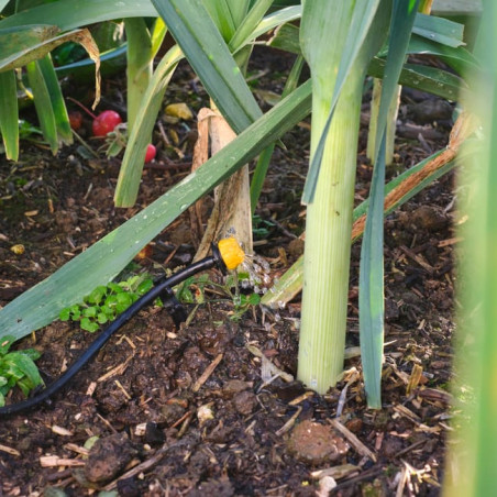 Kit irrigation automatique goutte-à-goutte XL Potager 25 prog (25M + 15M)