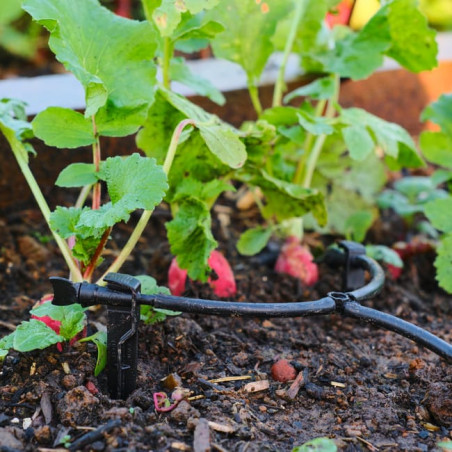 Kit irrigation automatique goutte-à-goutte XL Potager 25 prog (25M + 15M)