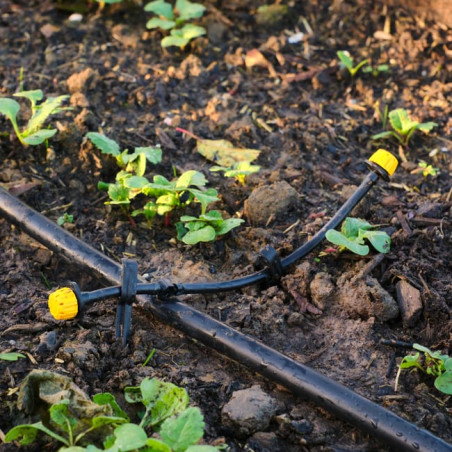 Kit irrigation automatique goutte-à-goutte XL Potager 25 prog (25M + 15M)