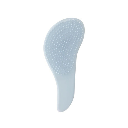 Brosse à cheveux Frozen 2 Elsa - DISNEY - DIS40736