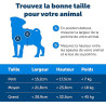 Chatière Staywell Original 760 2 voies talle L Blanc - PETSAFE - PECOL888