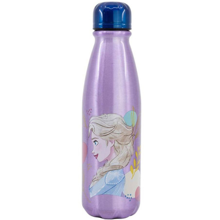 Bouteille en acier La Reine des Neiges 2 600ml Violet - STOR - ST74240
