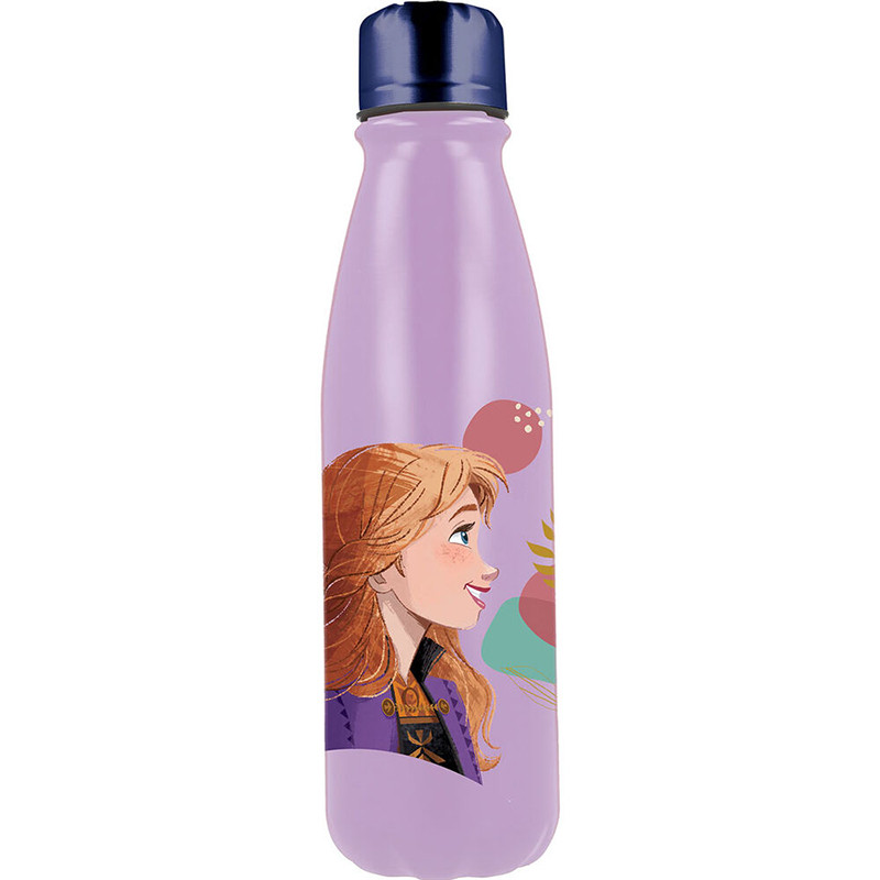 Bouteille en acier La Reine des Neiges 2 600ml Violet - STOR - ST74240