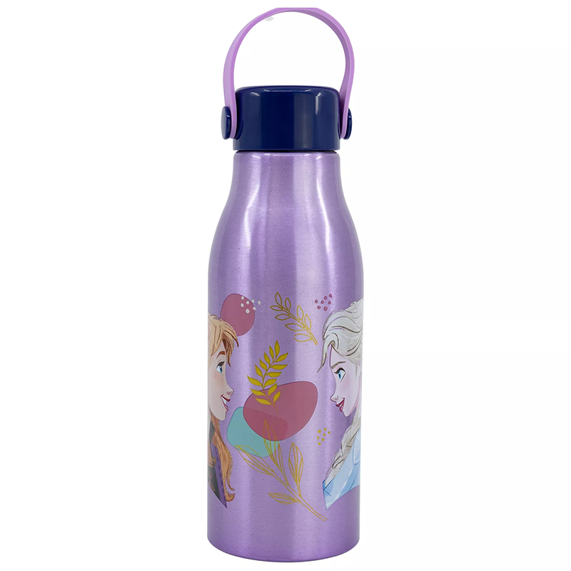 Gourde en acier à poignée flexible La Reine des Neiges 2 760mL Violet - STOR - ST74261