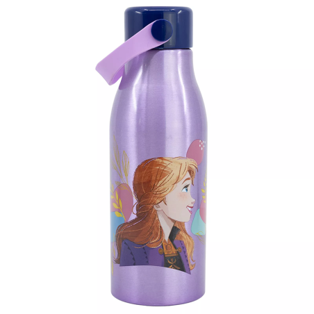 Gourde en acier à poignée flexible La Reine des Neiges 2 760mL Violet - STOR - ST74261