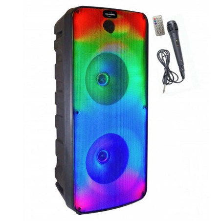 Enceinte Lumineuse Karaoké RGB Noir - INOVALLEY - INKA20RGB - 34107833 - Collab