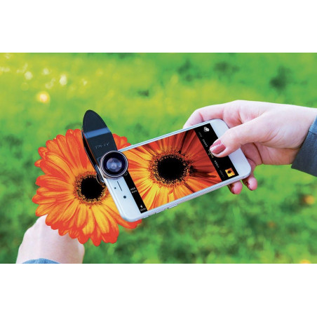 Nouveau produit 36008242