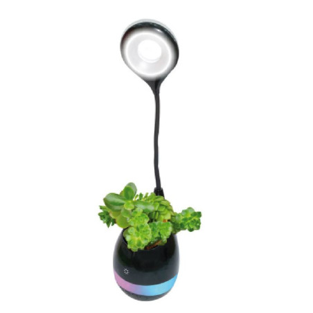 Lampe de bureau LED HP15-B Bluetooth® Micro intégré Noir - INOVALLEY - INLAHP15B