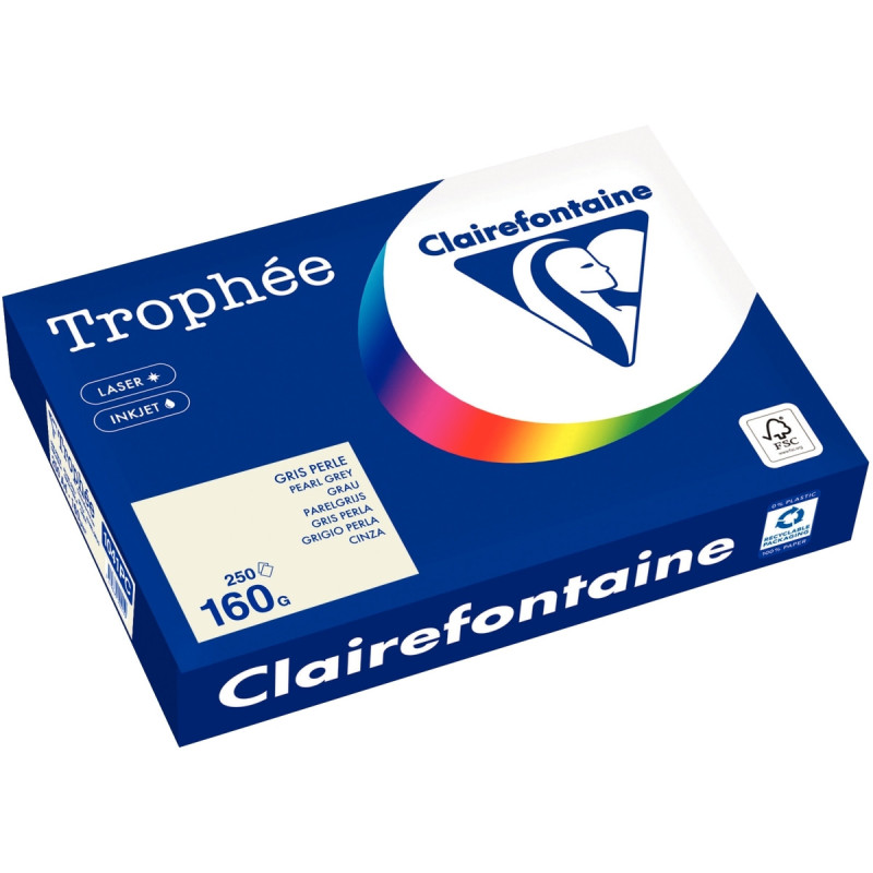 Paquet de 250 feuilles format A4 160g gris CLAIREFONTAINE