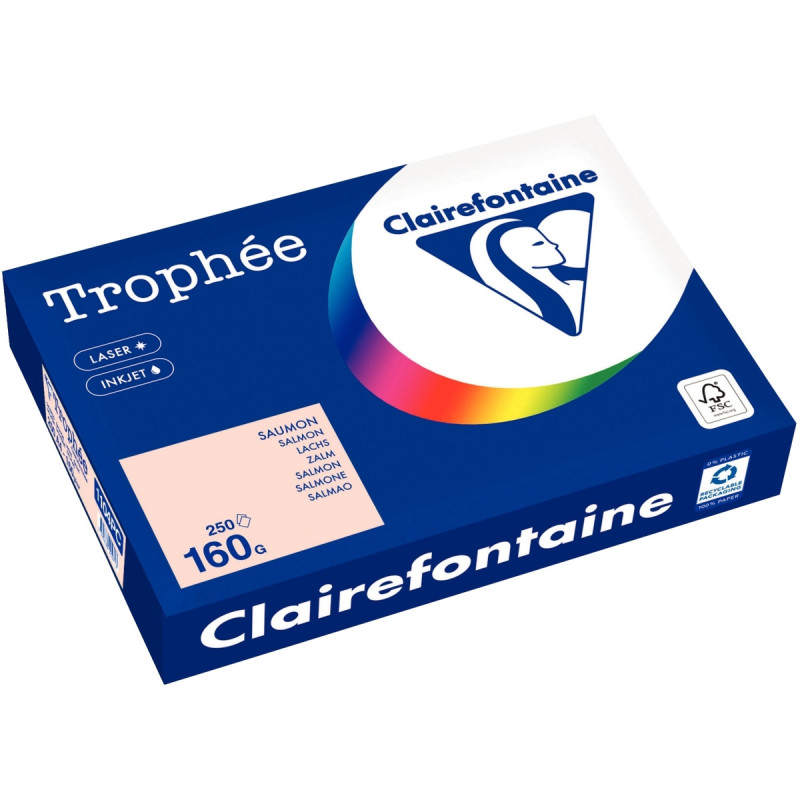 Paquet de 250 feuilles format A4 160g saumon CLAIREFONTAINE