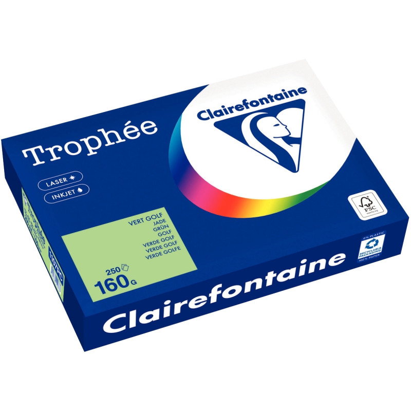 Paquet de 250 feuilles format A4 160g vert golf CLAIREFONTAINE